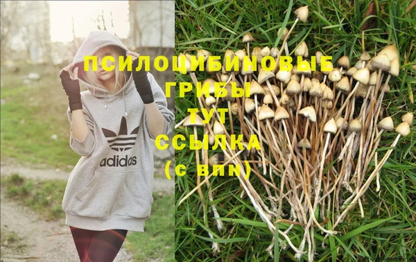 ГАЛЛЮЦИНОГЕННЫЕ ГРИБЫ Балабаново