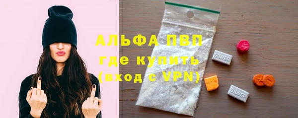 индика Протвино