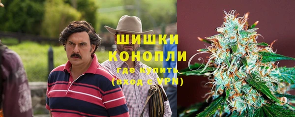 ГАЛЛЮЦИНОГЕННЫЕ ГРИБЫ Балабаново