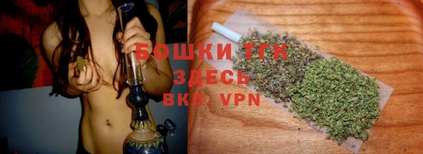 индика Пролетарск